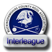 Interleague